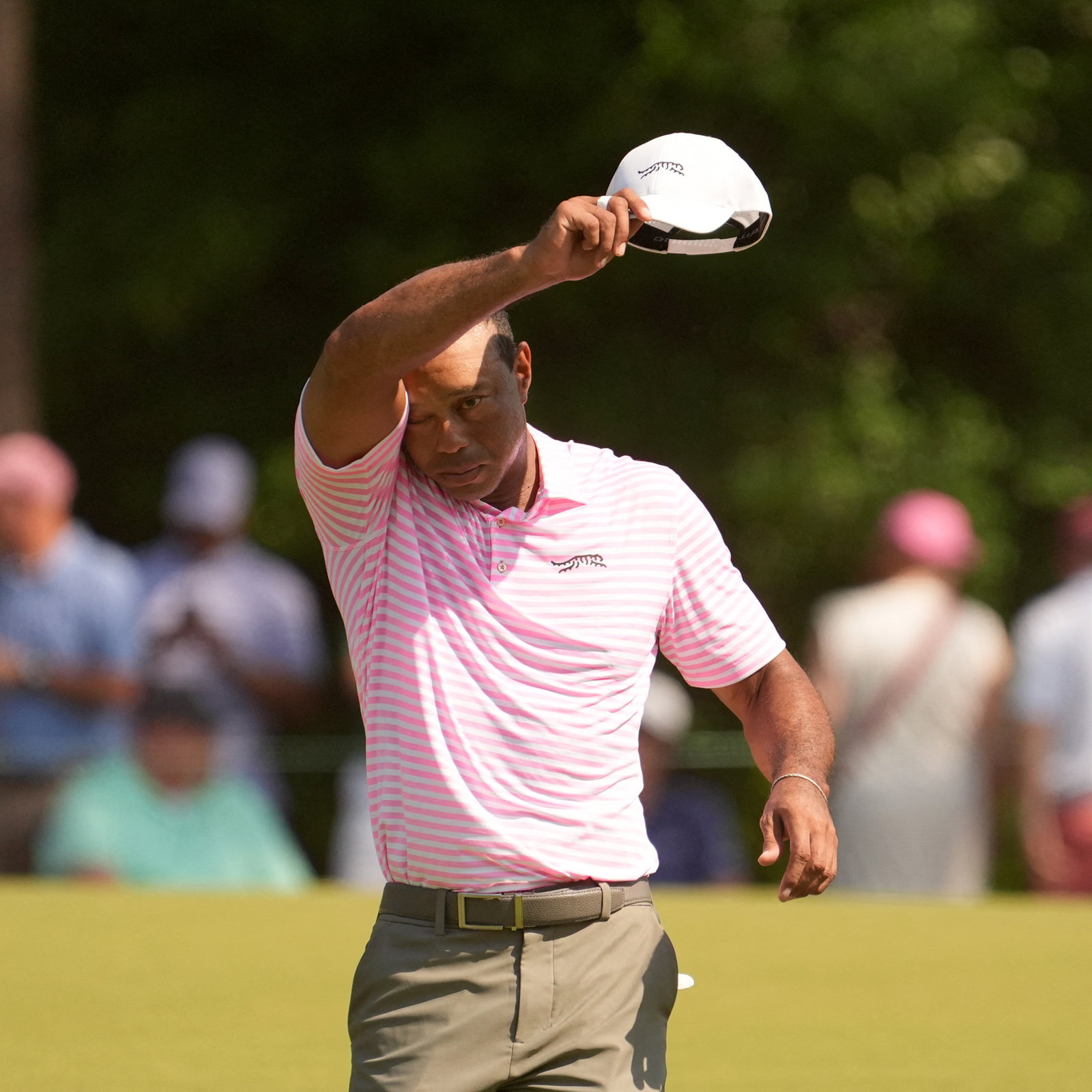 Tiger Woods